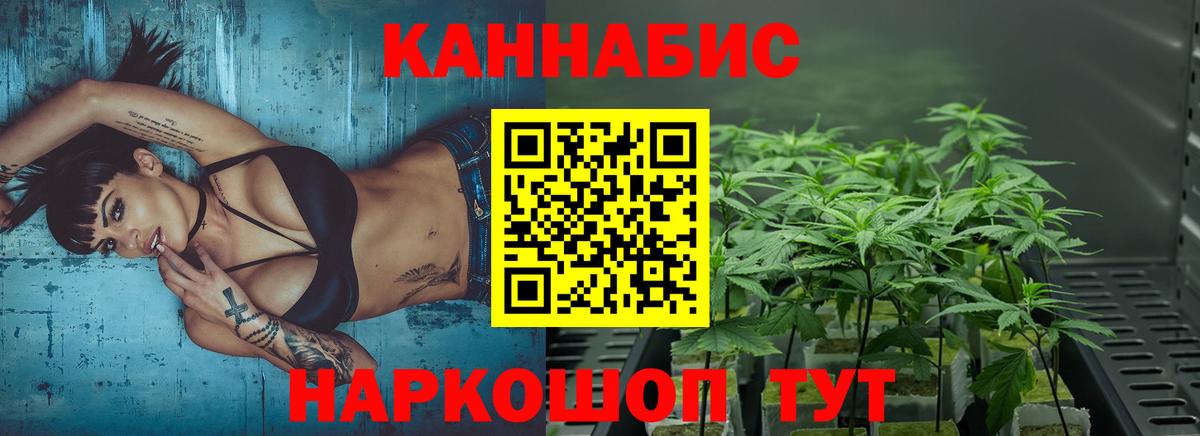 Конопля план  Канабис AK-47  Марихуана THC 21%  Шишки марихуана индика  Вход с VPN  Троицк 